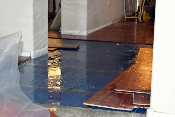 Professional Flood Damage Restoration technician working in Colonia, NJ